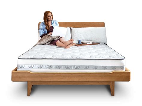 5 best bed frame for sexually active couple reviews 2022