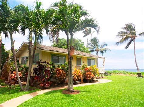 Palm Cottage Paia Hawái Actualizado 2022 Alquileres Vacacionales