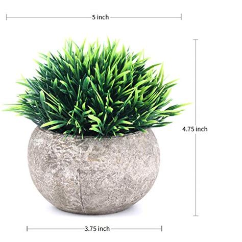 The Bloom Times 2 Pcs Fake Plants For Bathroomhome Office Decor Small