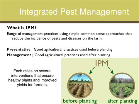 Methods of pest management agricultural methods biological methods chemical methods environmental methods mechanical methods s.h. PPT - Integrated Pest Management PowerPoint Presentation ...
