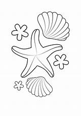 Starfish sketch template