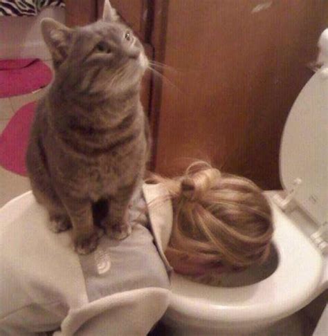20 Pictures Proving That Cats Are Jerks