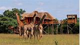 Pictures of Lodges At Kruger National Park