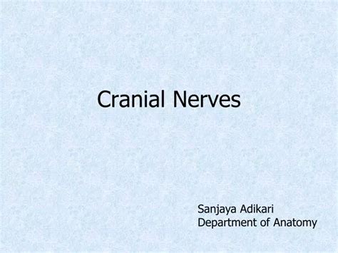 Ppt Cranial Nerves Powerpoint Presentation Free Download Id4837903