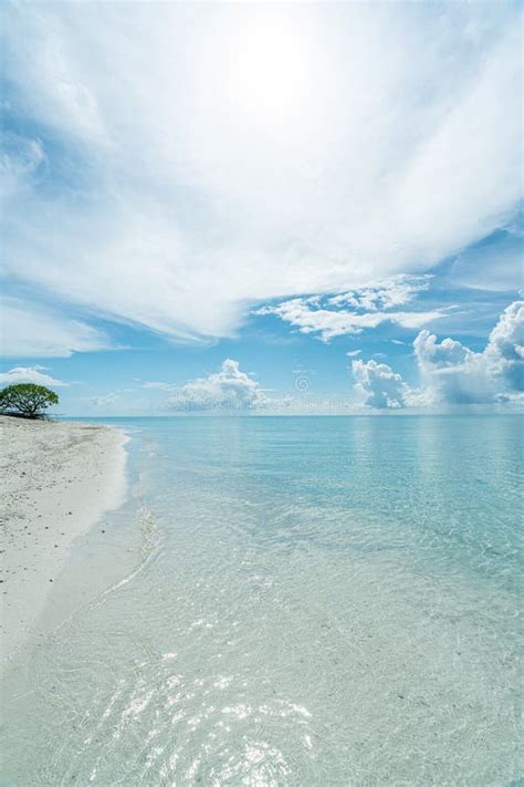 Playa De Arena Blanca Y Cielo Azul En Sandbank Isla Maldives Imagen De