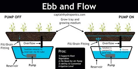 Pertanian Hidroponik Sistem Ebb And Flow System