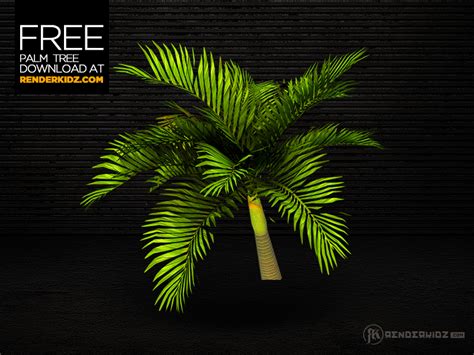 Free Palm Tree Render By Industrykidz On Deviantart