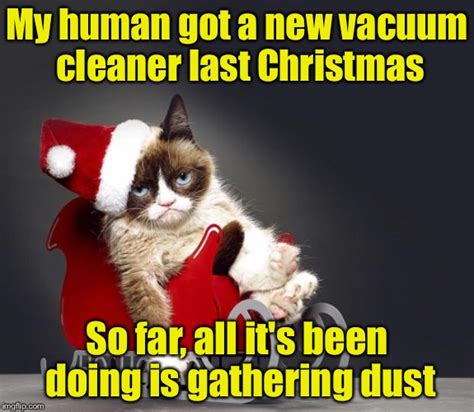 Grumpy Cat Christmas Hd Imgflip