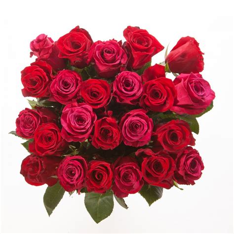 Red And Pink Roses Bouquet Rose Bouquets Ts