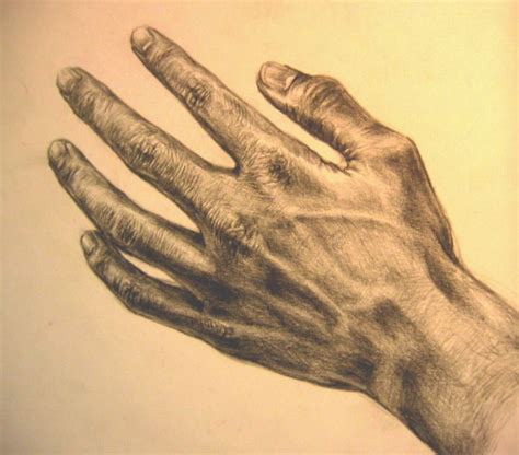Leonardo Da Vinci Hands Touching