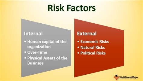 Risk Factors In Business Definition Types How To Manage