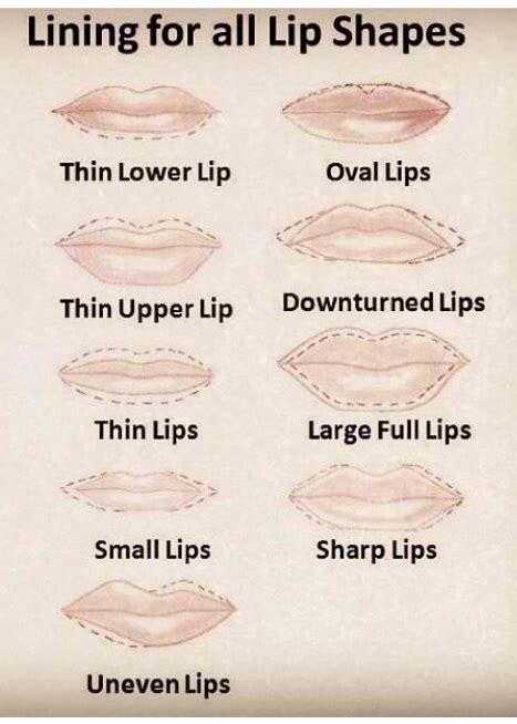 Lip Shapes Types