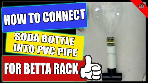 How To Connect Soda Bottle Into Pvc Pipe For Betta Rack Youtube