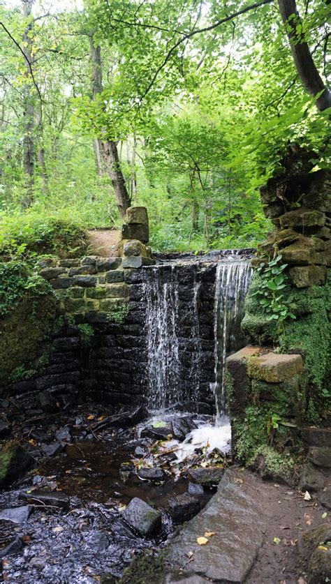 10 Reasons Youll Love The Rivelin Valley Nature Trail Sheffield