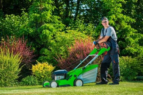 5 Surprising Benefits Of Professional Lawn Care Services Residence Style