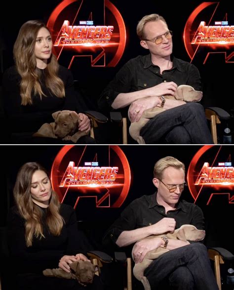 Here Are Just 23 Times Elizabeth Olsen And Paul Bettany Were Hilarious