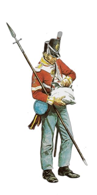 44th Regiment Of Foot War Art British Army Uniform