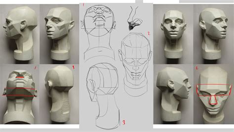 Artstation How To Draw The Head At Any Angle Tutorials