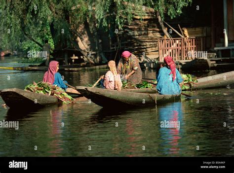 Laghi Dellindia Kashmir Immagini E Fotografie Stock Ad Alta