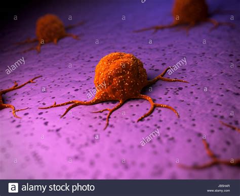 Cancer Cell Electron Microscope Hi Res Stock Photography And Images Alamy