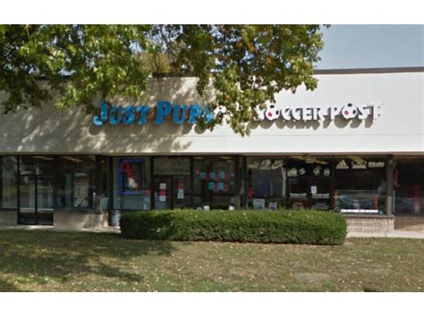 Owner Of Bergen Puppy Store Hit With 267 Animal Cruelty Violations | Paramus, NJ Patch
