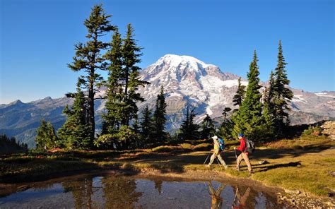 Mount Rainier National Park, Washington State • Explorer Sue - Your 