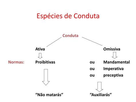 Condutas Governamentais Intolerantes E Intransigentes Podem Se Caracterizar
