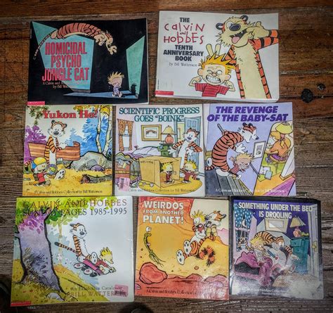 Calvin And Hobbes Collection 1 Each Thriftstorehauls