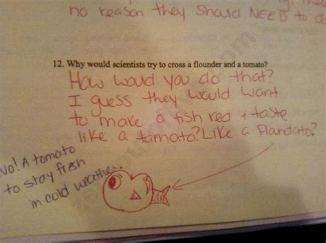 Funniest Kid Test Answers Will Make You Laugh 50 Images By The