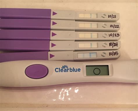 Clearblue Advanced Digital Opk As Pregnancy Test Pregnancy Test Work