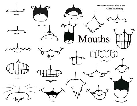 http://everyonecandraw.net/Cartoon%20Steps%20JEPG/Animal%20Heads%20Mix
