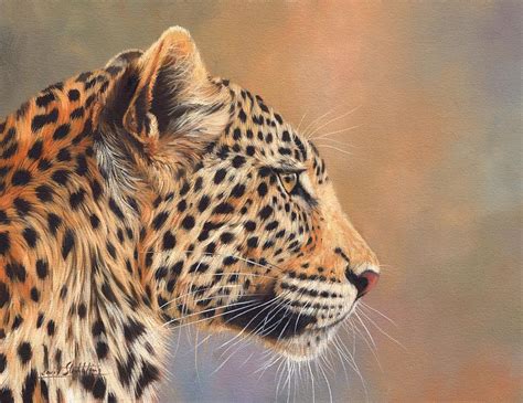 Leopard Painting By David Stribbling Fine Art America