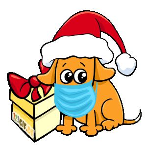 Weihnachten Bild Corona Maske Hund Weihnachten Gif Kostenlos Auf Deiner Homepage Einbinden