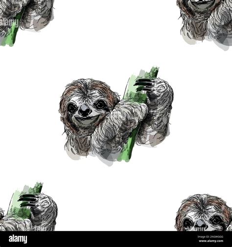 Seamless Pattern Of Hand Drawn Sketch Style Sloths Isolated On The White Background Vector