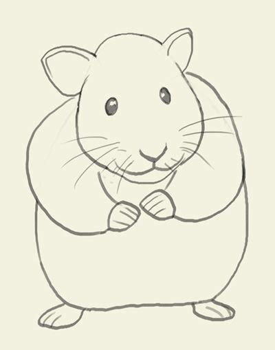 How To Draw Hamster Drawings Hamster Basic Drawing