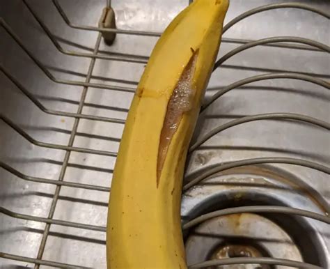 Why Are Bananas Splitting Open And How To Stop It