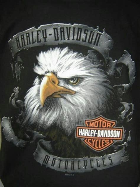 Bald Eagle Harley Davidson Info Harleydavidsonall