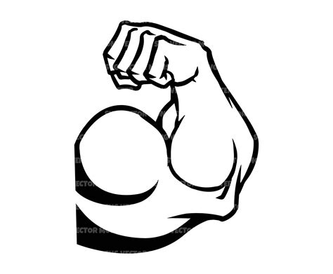 Biceps Svg Muscle Svg Arm Flex Svg Bodybuilder Gym Body Etsy Singapore