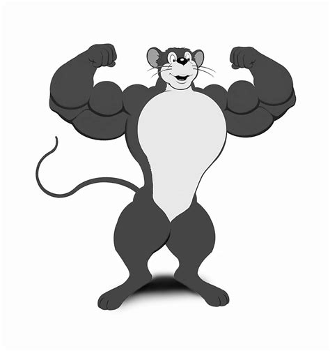 Muscles Mouse 1951 Cssmanager