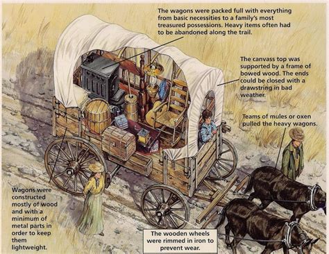 The Wagons On The Oregon Trail Were Packed Full Of Everything From