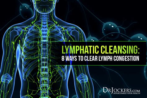Lymphatic Cleansing Ways To Clear Lymph Congestion Drjockers