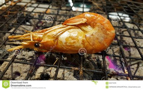 Grilled Shrimp Stock Image Image Of Saefood Food Thai 92371979