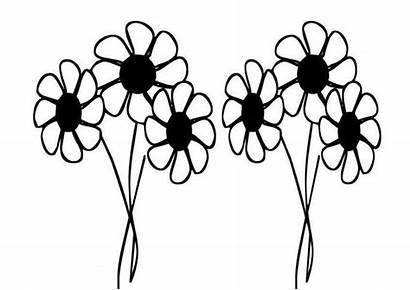 Daisy Flower Coloring Drawing Pages