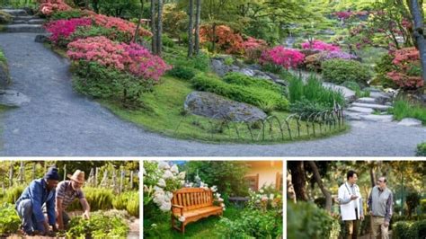The 5 Types Of Therapeutic Gardens And How They Help Patients