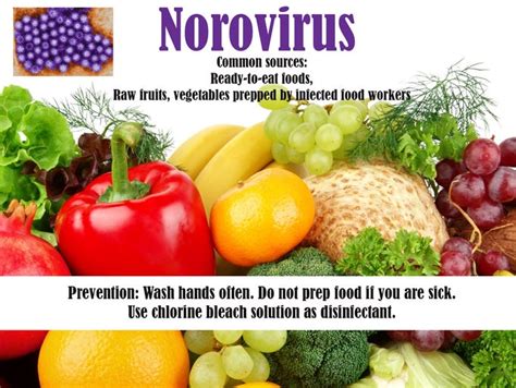 6 Common Sources Of Food Poisoning