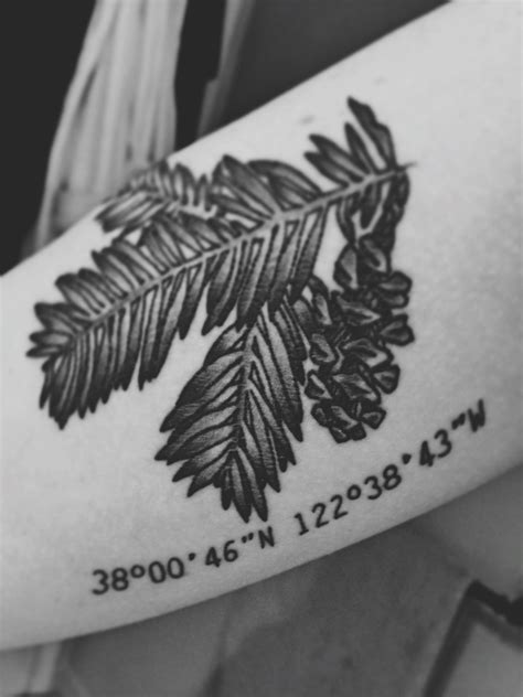 Pin By Sam Palmieri On Tattoos Redwood Tattoo Tattoos Sister Tattoos