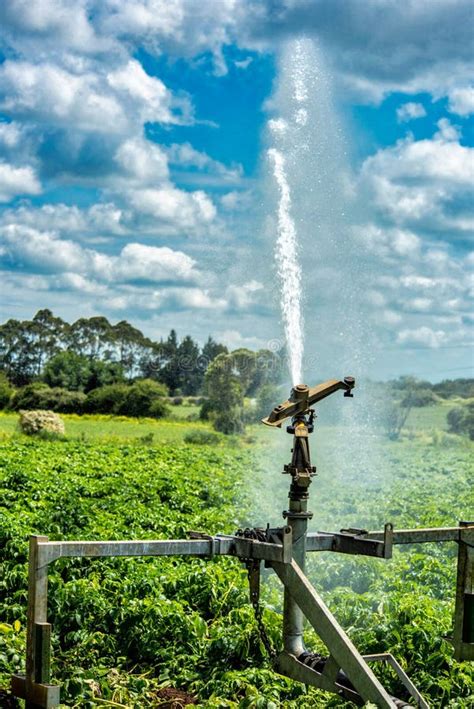 Water Cannons Used For Irrigation Stock Image Image Of Simple Tuakau
