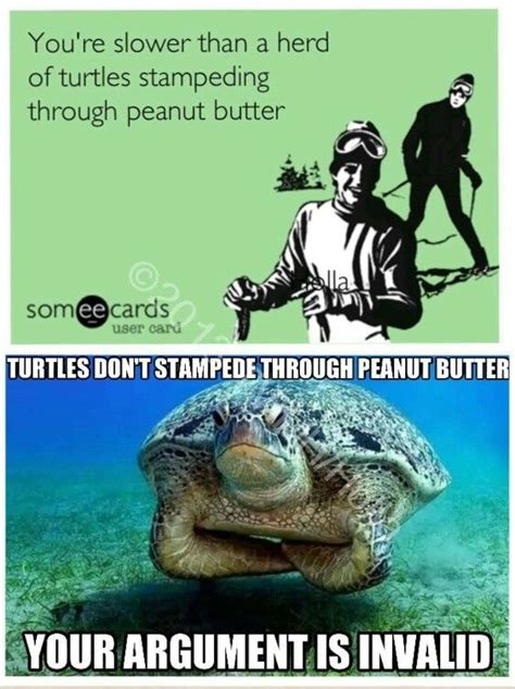 Invalid Arguement Turtle Love Turtle Humor