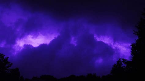 Purple Thunderstorm Bird By Chitttick1 On Deviantart