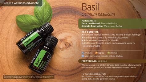 Basil Oil Dōterra Essential Oils